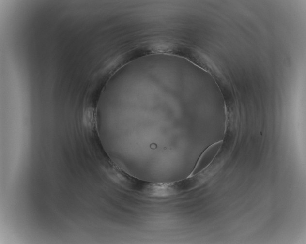 X0000111030093200907021547