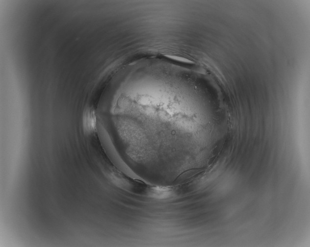 X0000111030095200907021547