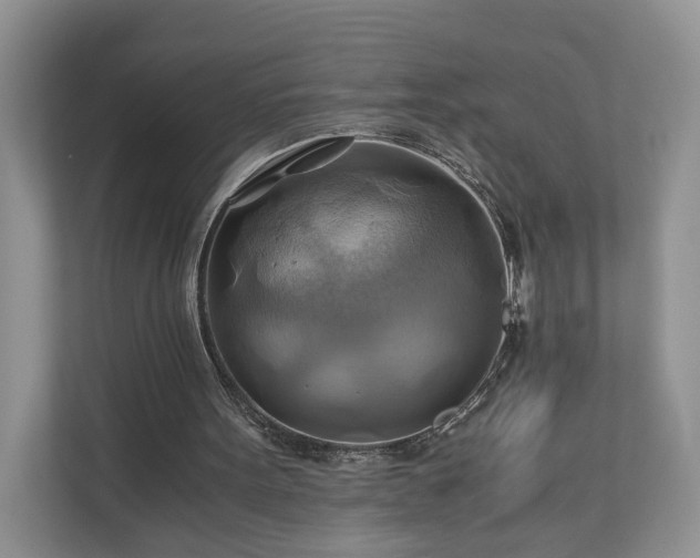 X0000111030099200907021546