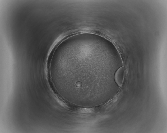 X0000111030102200907021546