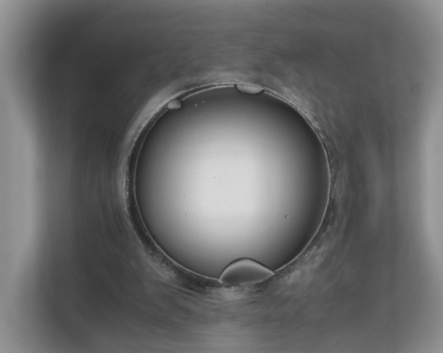 X0000111030103200907021546