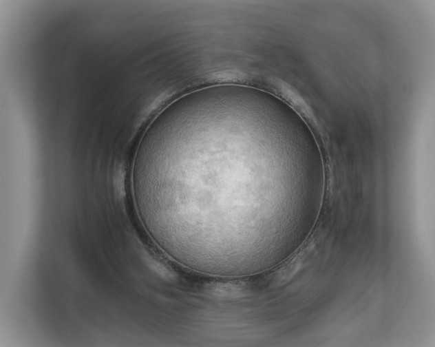 X0000111030106200907021546