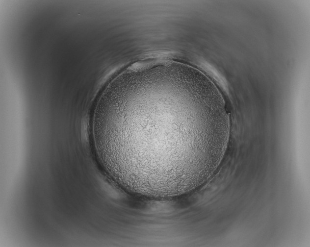X0000111030107200907021546