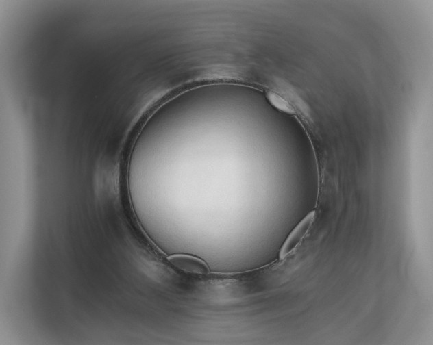 X0000111030108200907021546