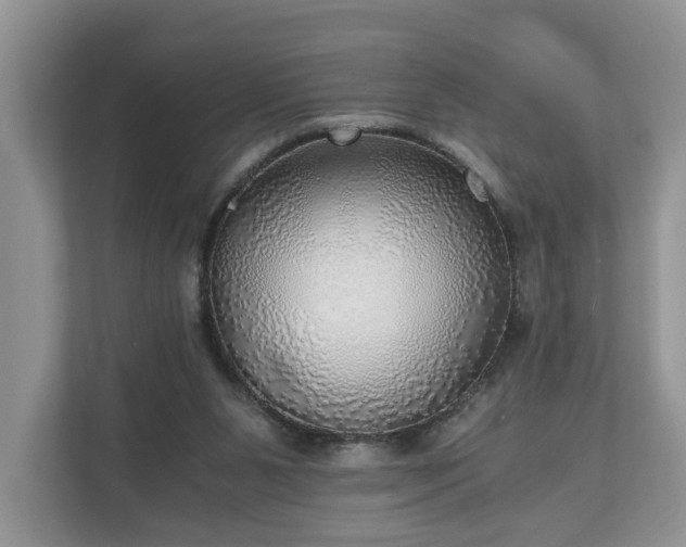 X0000111030111200907021546
