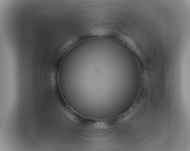 X0000111030114200907021546