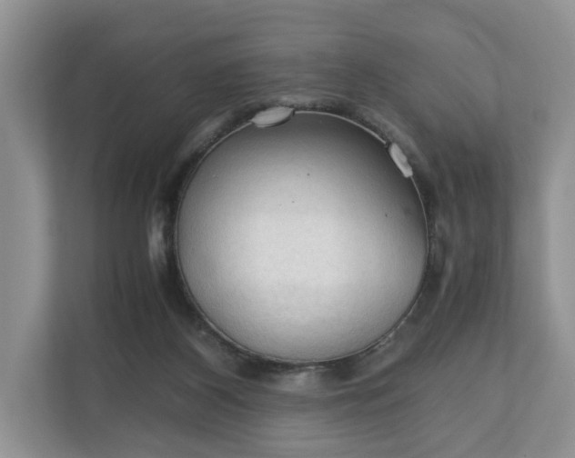 X0000111030116200907021546