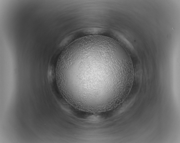 X0000111030119200907021546