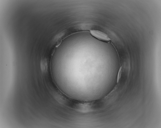 X0000111030120200907021546