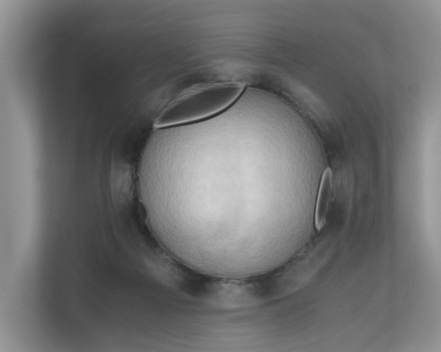 X0000111030121200907021546