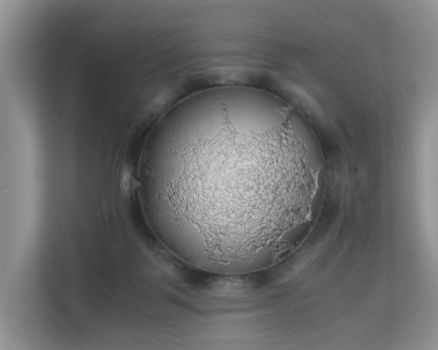 X0000111030123200907021546