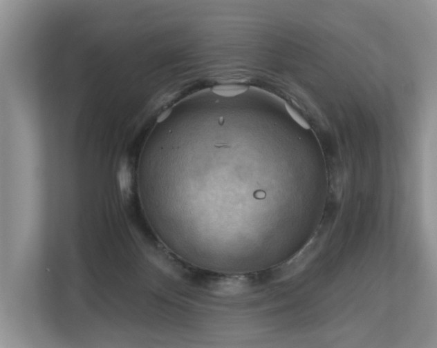 X0000111030124200907021546