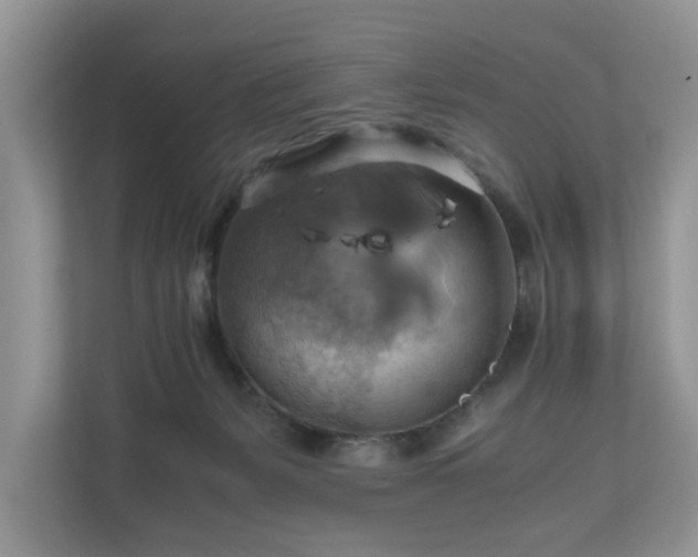 X0000111030127200907021546