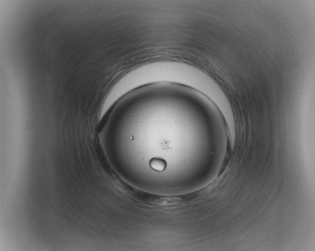 X0000111030128200907021546