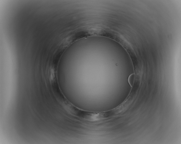 X0000111030130200907021546