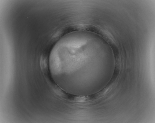 X0000111030131200907021546