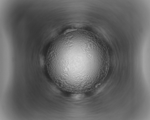 X0000111030135200907021546