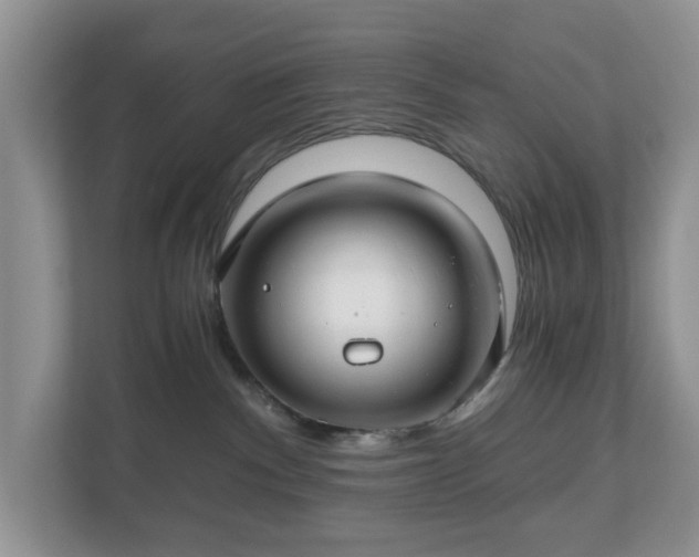 X0000111030140200907021546