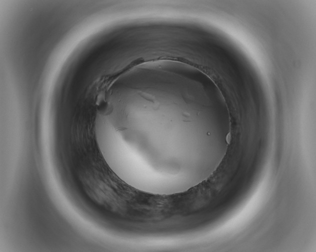 X0000111030143200907021546