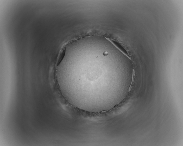 X0000111030144200907021546