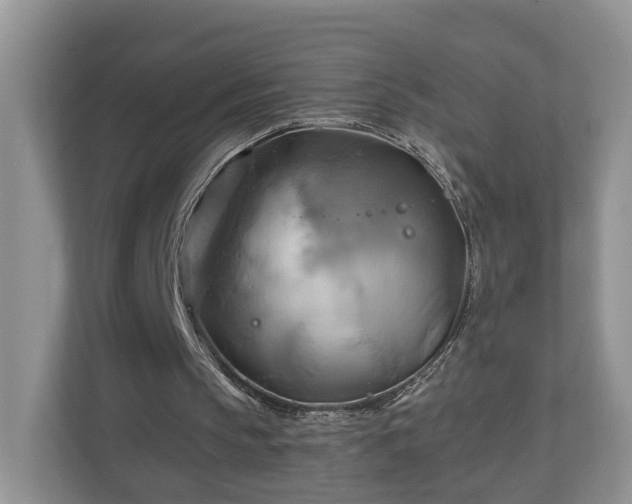 X0000111030145200907021545