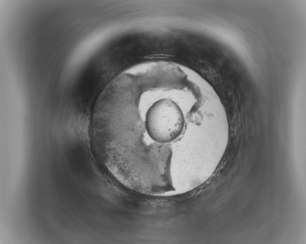 X0000111030146200907021545