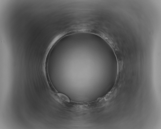 X0000111030147200907021545