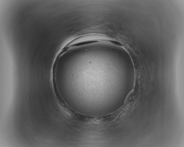 X0000111030148200907021545