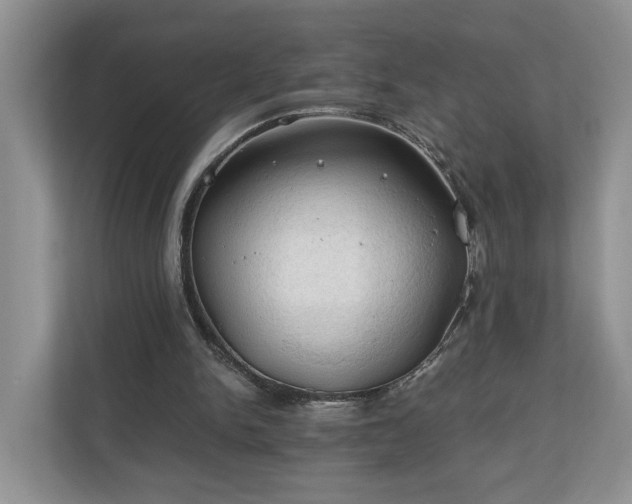 X0000111030150200907021545