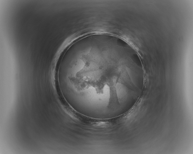 X0000111030151200907021545
