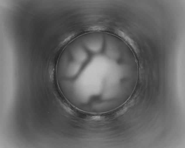 X0000111030153200907021545