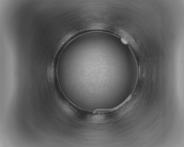 X0000111030156200907021545