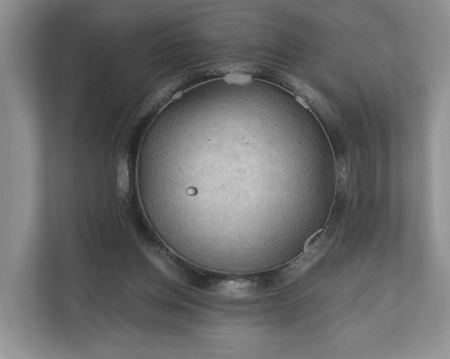 X0000111030158200907021545