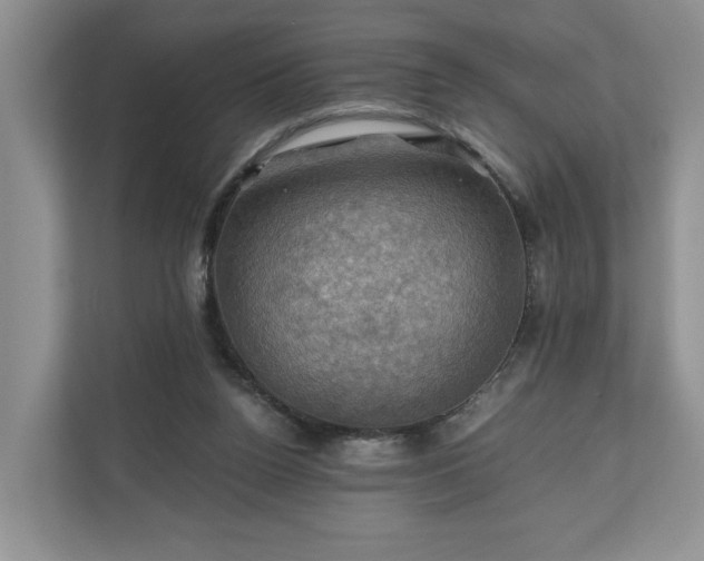 X0000111030160200907021545