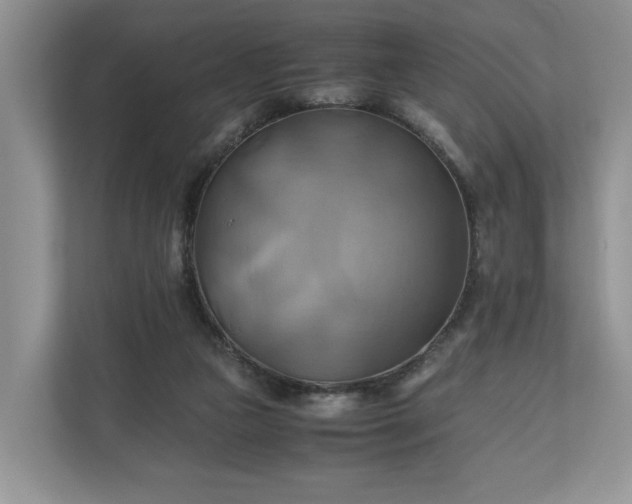 X0000111030161200907021545