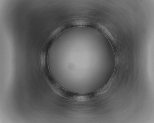 X0000111030163200907021545