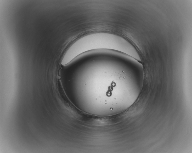 X0000111030164200907021545