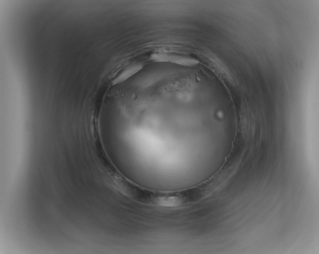X0000111030169200907021545