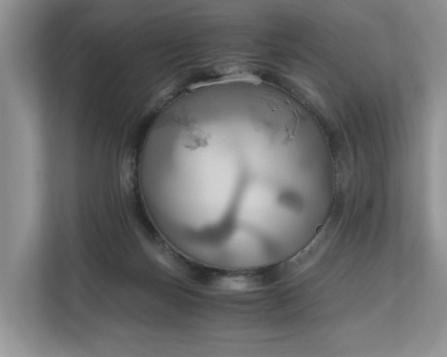 X0000111030171200907021545