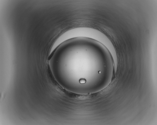 X0000111030172200907021545