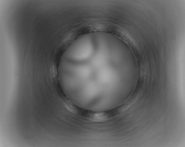 X0000111030173200907021545