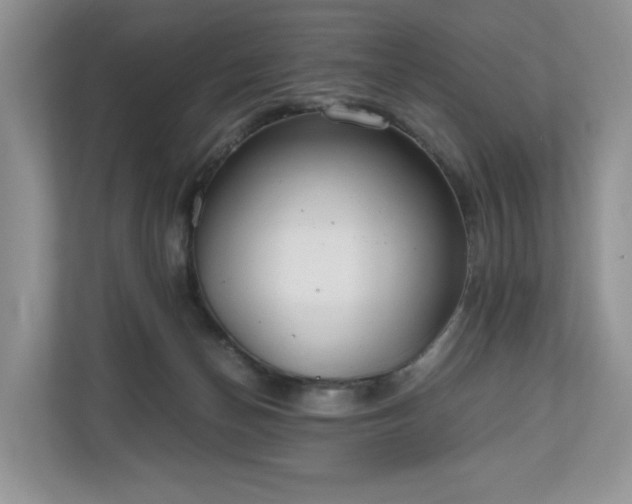 X0000111030174200907021545