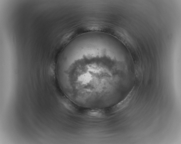 X0000111030175200907021545