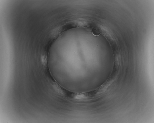 X0000111030177200907021545
