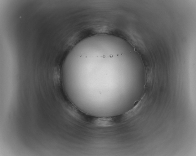 X0000111030179200907021545