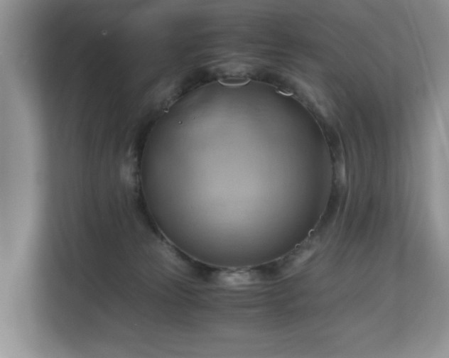 X0000111030181200907021545