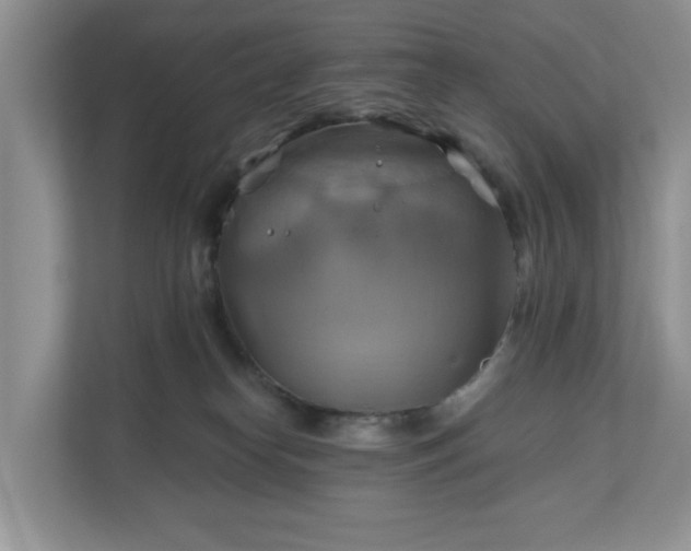 X0000111030182200907021545