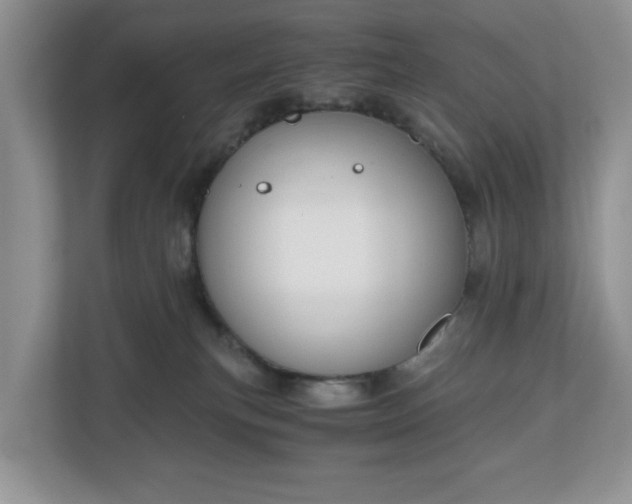X0000111030183200907021545