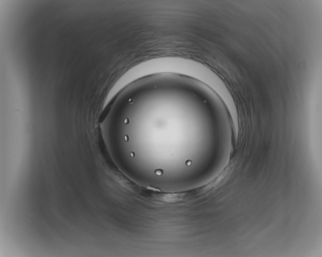 X0000111030184200907021545
