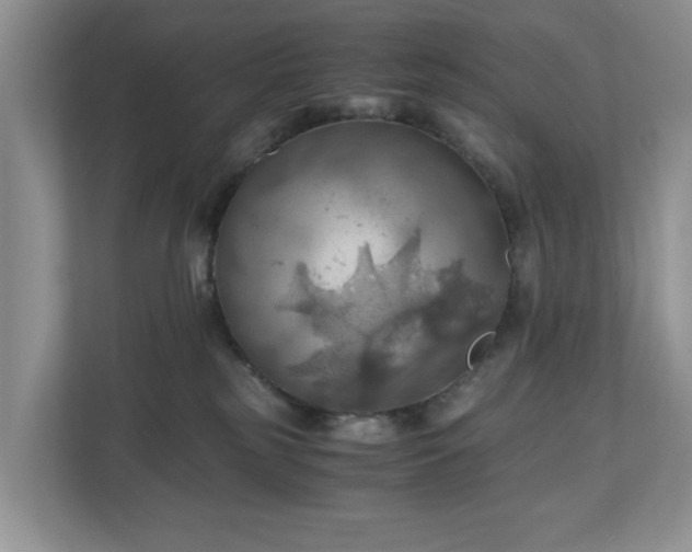 X0000111030185200907021545